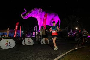 BIB: 
                            <button type="button" onclick="openModal(26534832)" class="btn btn-primary btn-sm float-right btn-popup" data-toggle="modal" data-target=".modal-high-quality">
                        <i class="fas fa-shopping-cart"></i> Add to Cart
                    </button>
                                            <button type="button" onclick="isThisMe(26534832, true)" class="btn btn-success btn-sm float-right btn-popup btn-isme hidden" data-toggle="tooltip" data-placement="bottom" title="นี่คือรูปของคุณใช่ไหม คลิกที่นี่เพื่อเอาเข้าอัลบั้ม">
                        <i class="fas fa-plus"></i> Add to album
                    </button>
                    <button type="button" onclick="isThisMe(26534832, false)" class="btn btn-warning btn-sm float-right btn-popup btn-isnotme hidden">
                        <i class="fas fa-ban"></i> Remove from album
                    </button>